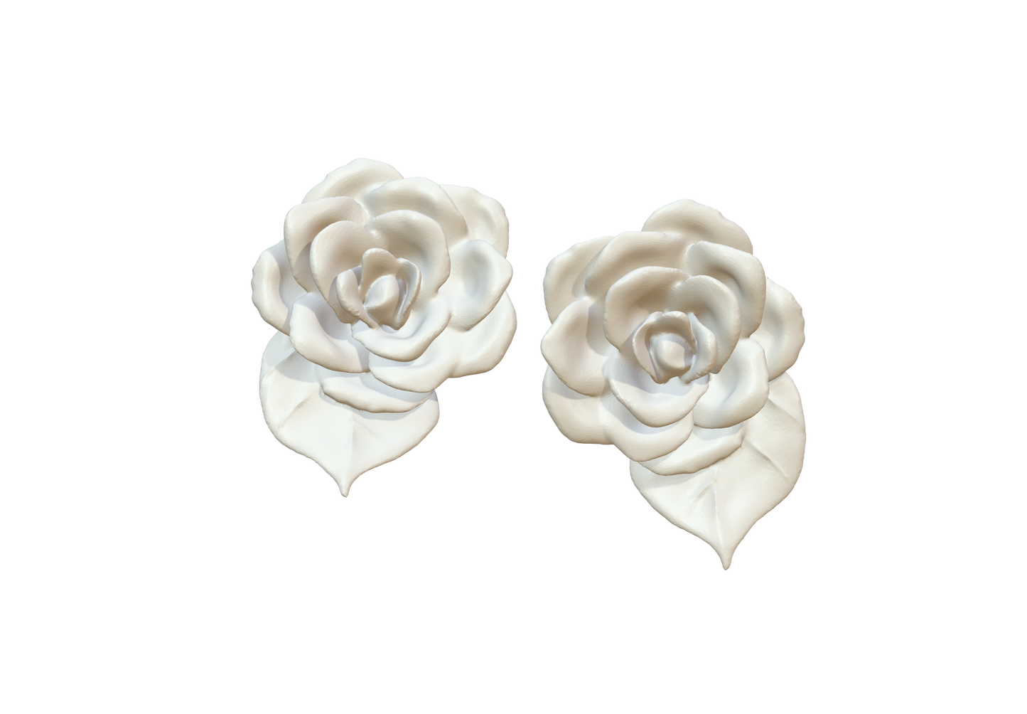 Camellia