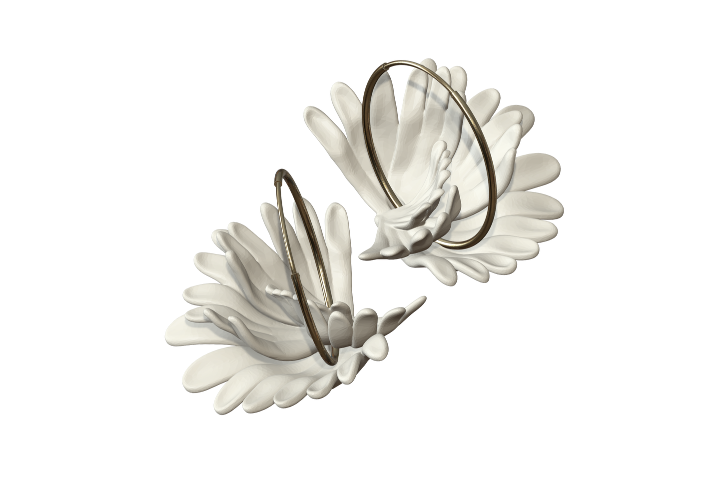 Gerbera