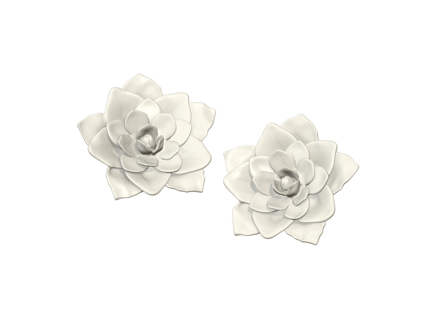 Big Camellia