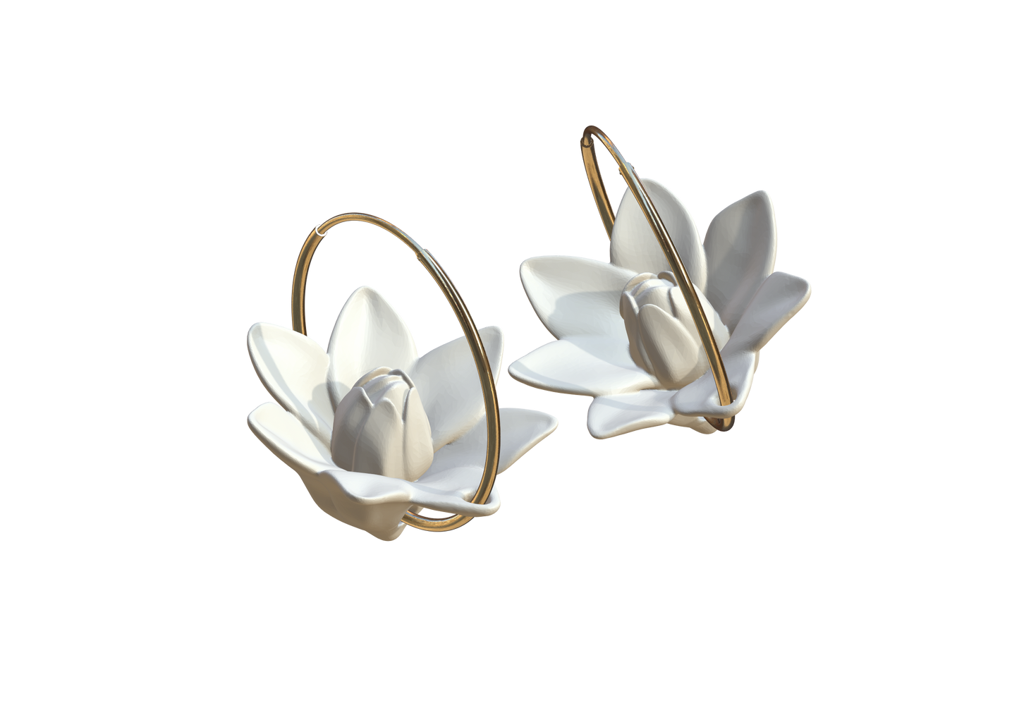Floating Magnolia