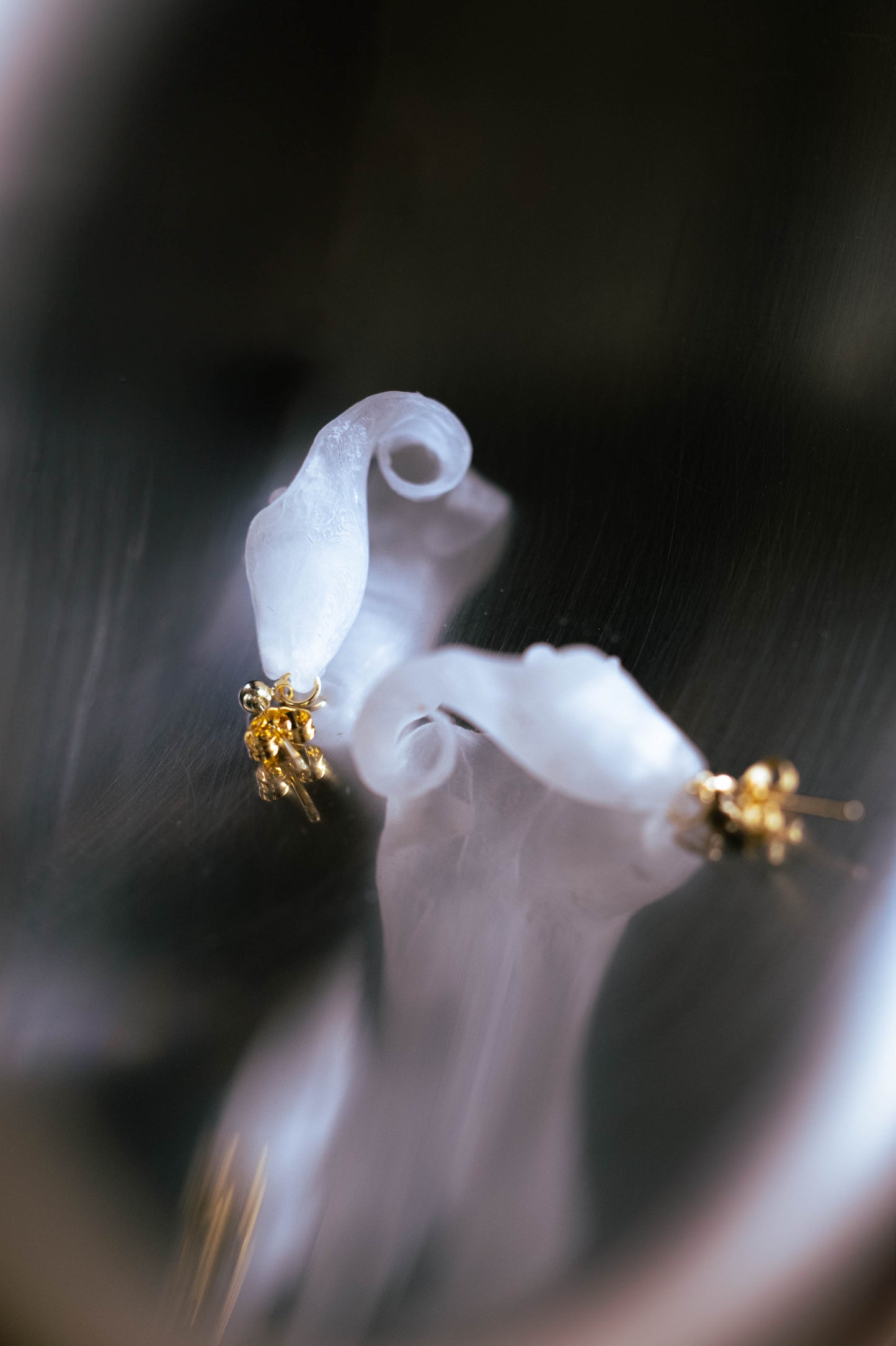 Calla Lily